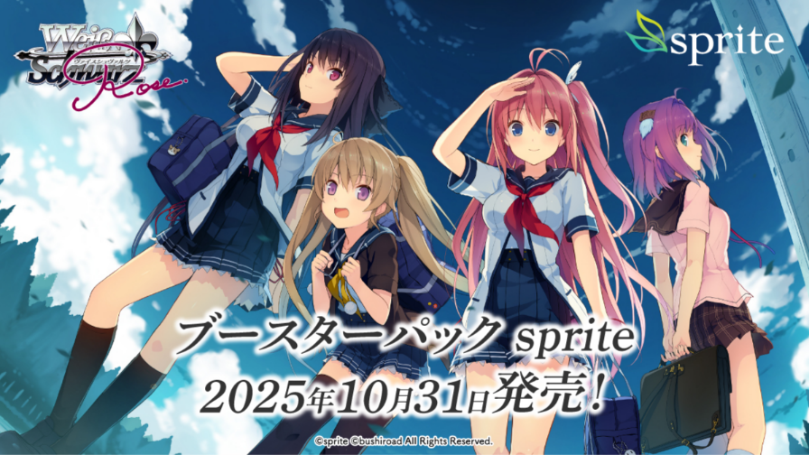グランドパンダキャニオン / 新商品4コンセット＆カートン