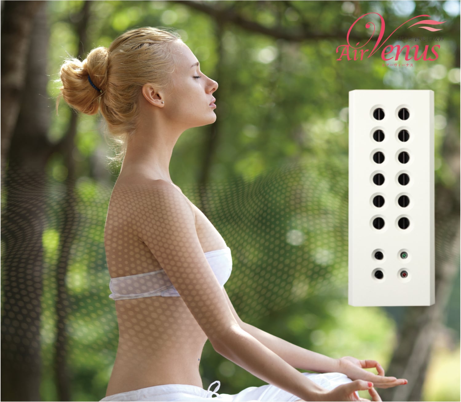 エアーヴィーナス｜トレーニングマシンのレンタルとリースはジム