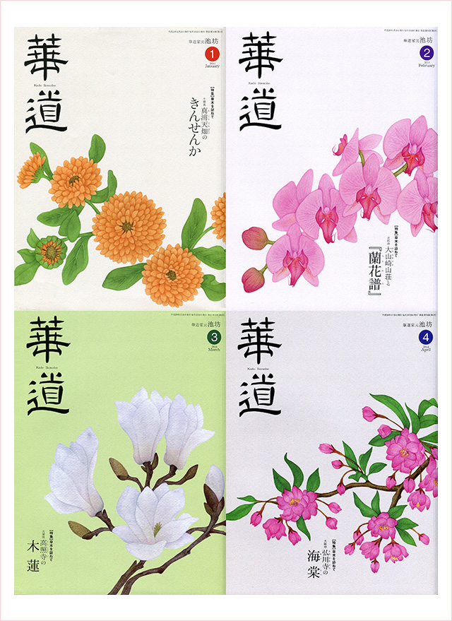 池坊「華道」／表紙 | artwork | hatano hikaru illustration