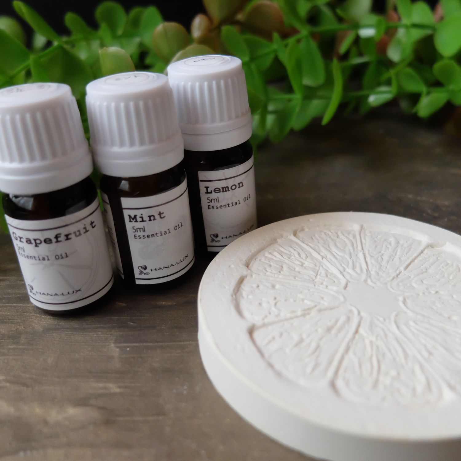 お知らせ | ハナルクス - HANA-LUX