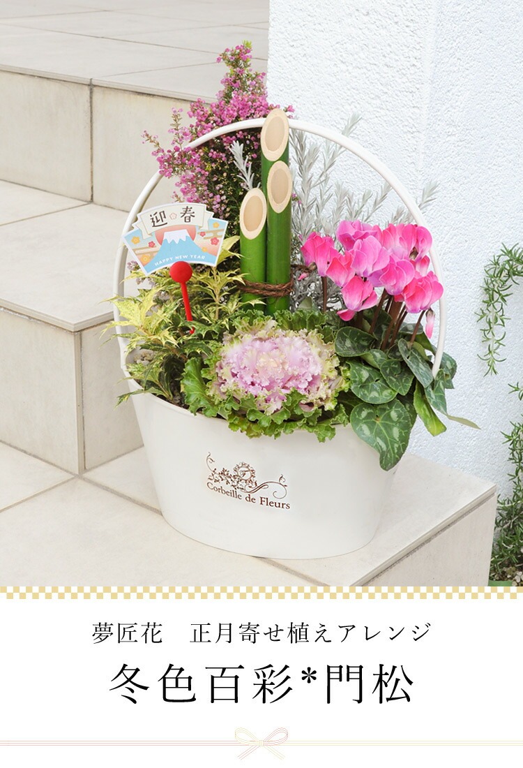 寄せ植え～ 夢匠花 冬色百彩 門松寄せ植え 12/26～12/30の間で指定OK