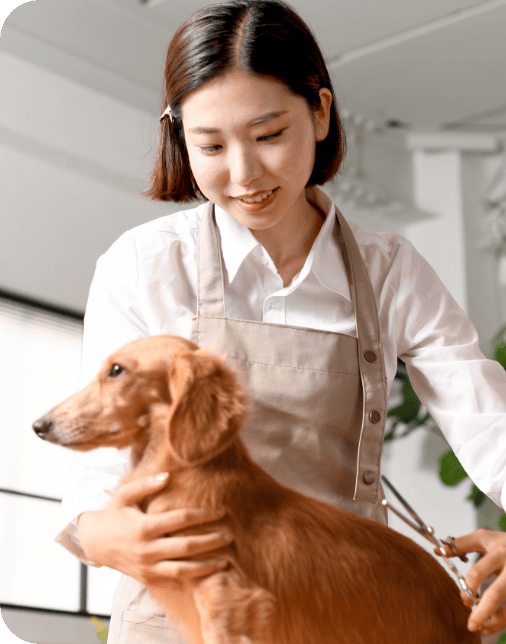 ヒューマンアカデミー通信講座（旧たのまな）