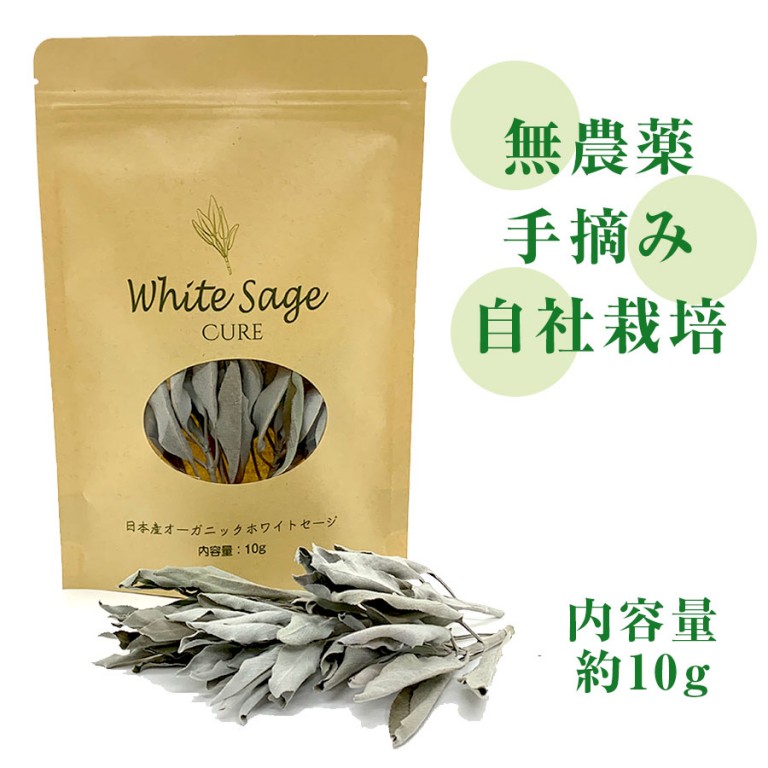 定期購入】日本産ホワイトセージ 枝付き 約10g Japanese white sage