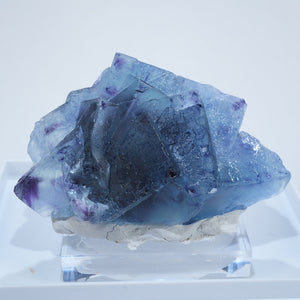 フローライト – タグ 