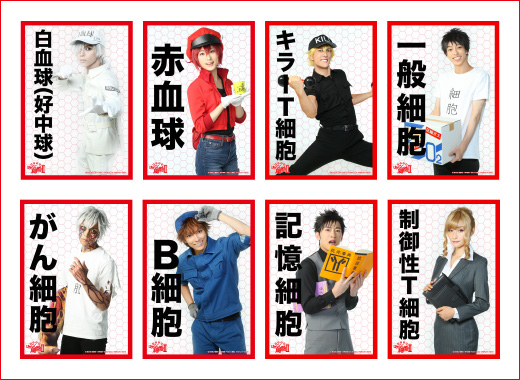 GOODS | 体内活劇「はたらく細胞」Ⅱ