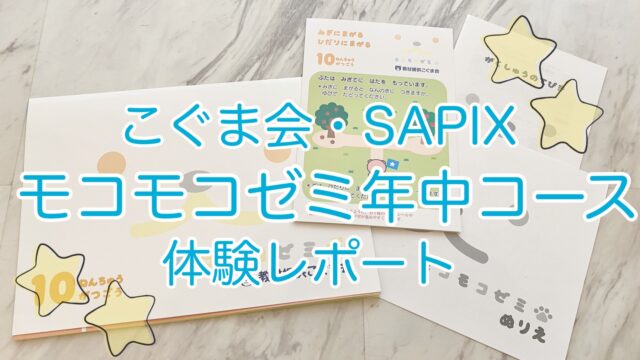 早生まれ年中の「モコモコゼミ」を体験レビュー！資料請求や退会方法は