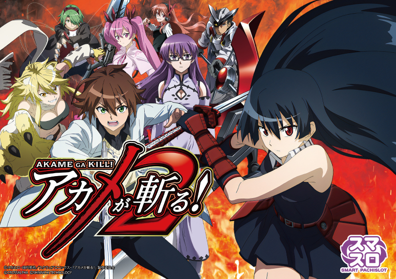 L アカメが斬る! 2 | ハズセ