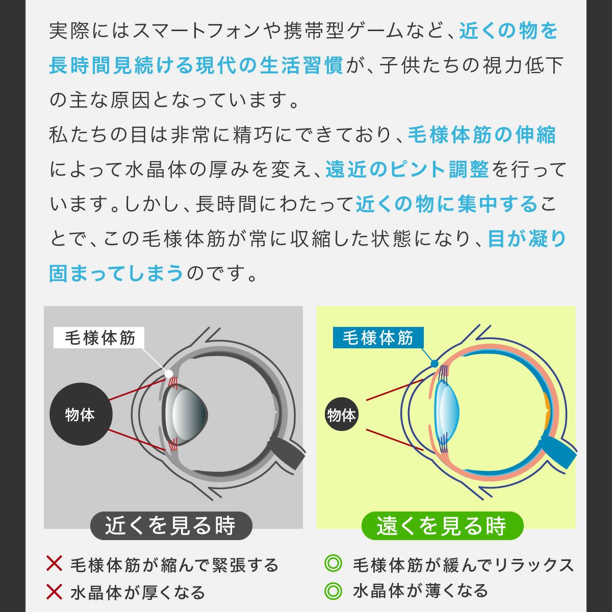 医師監修 視力回復トレーニング ホームワック 子供 近視 視力低下 改善