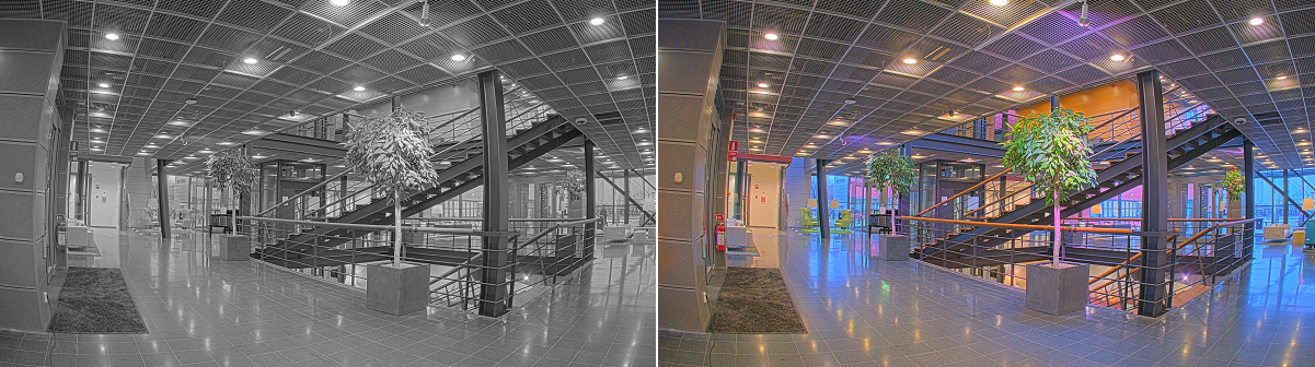 AXIS P1455-LE Network Camera