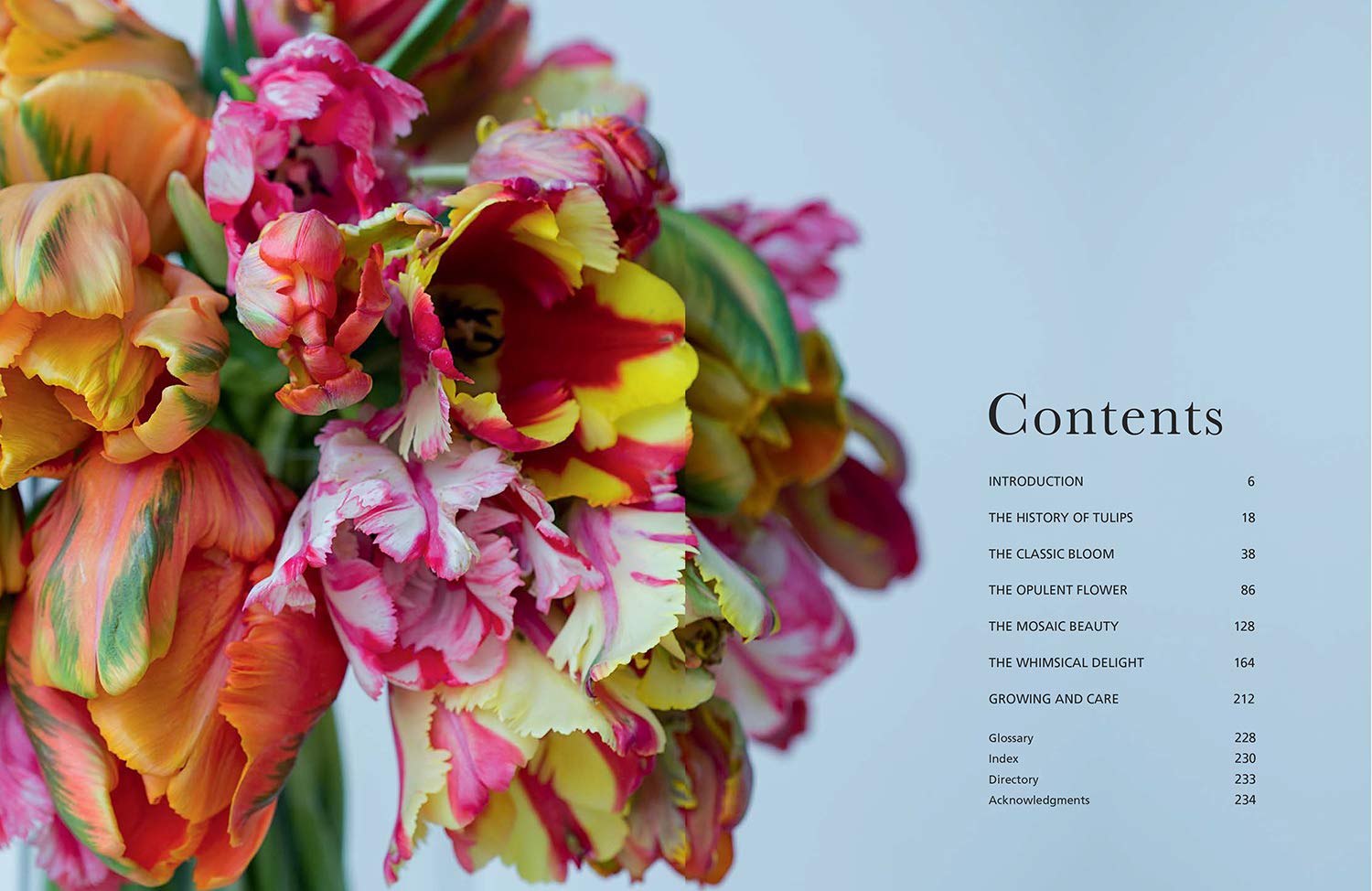 Tulips – Hester & Cook