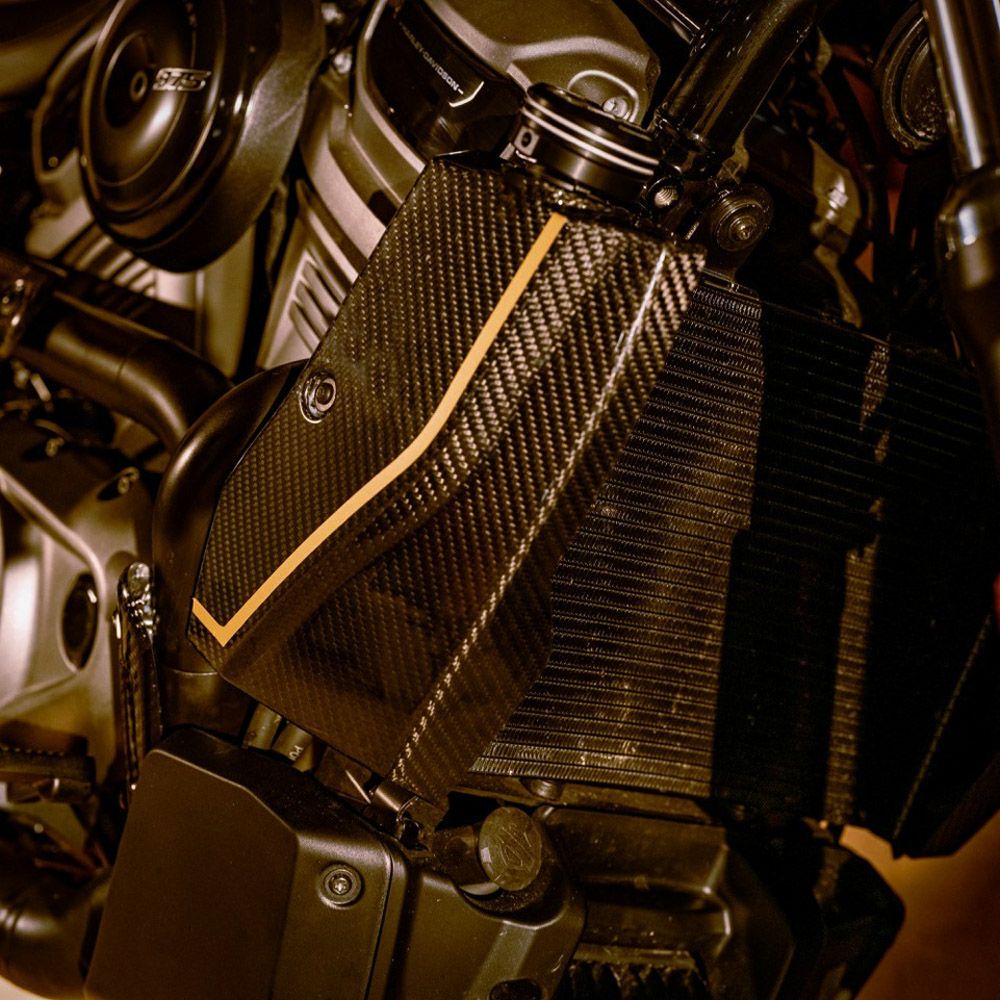 ハーレー アドバーサリー カムスプロケットメダリオン グラファイト