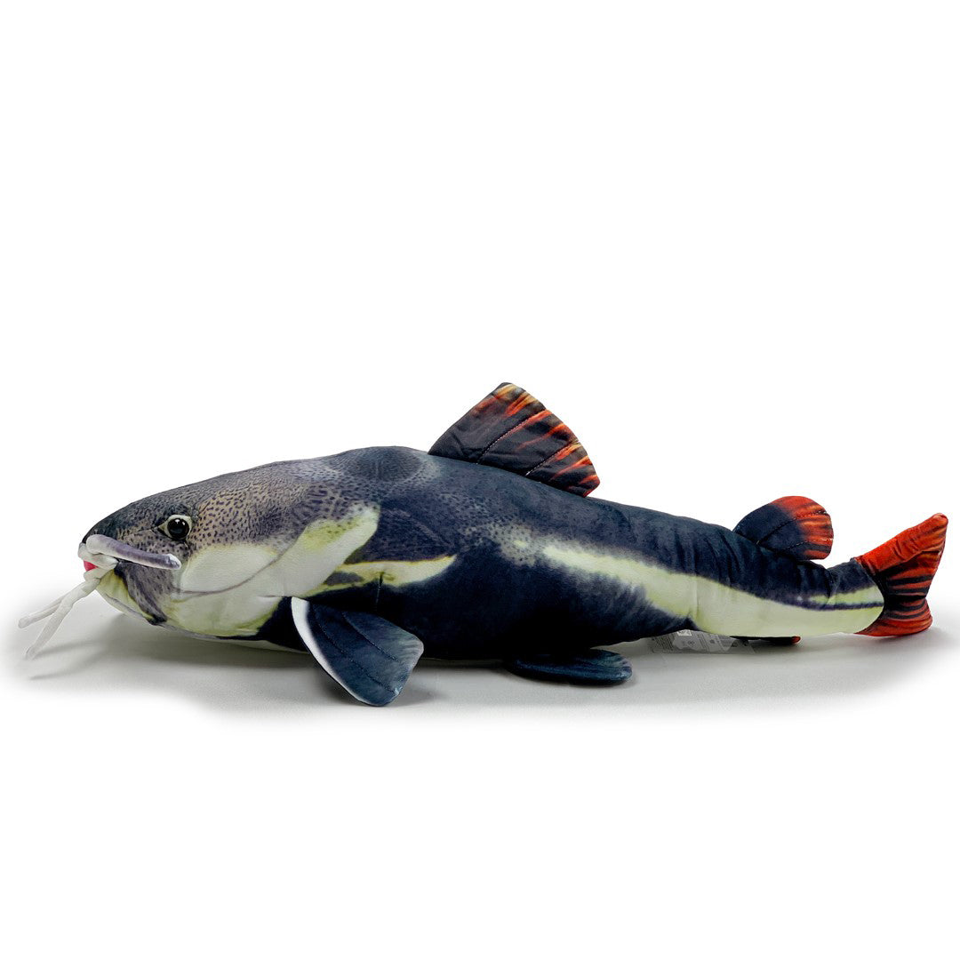 おさかなぬいぐるみ レッドテールキャット – Hi, mu-mo