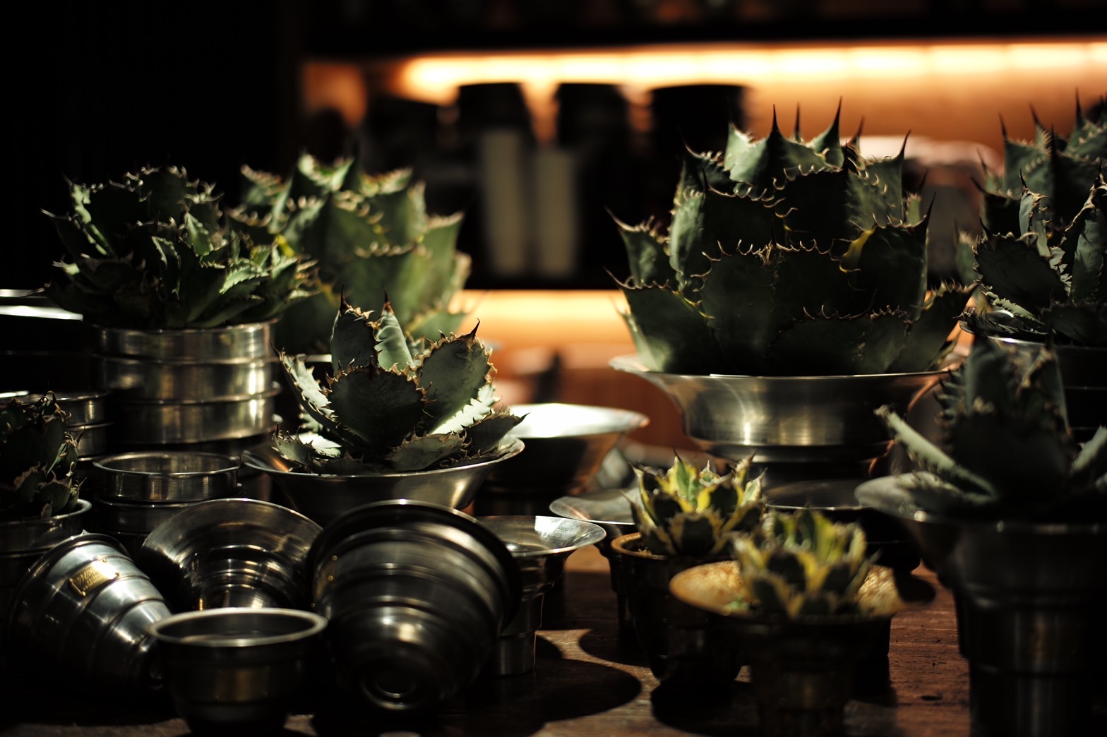 MASSESなど、トリプルコラボ「鉢」再登場 | HIGHSNOBIETY.JP（ハイス