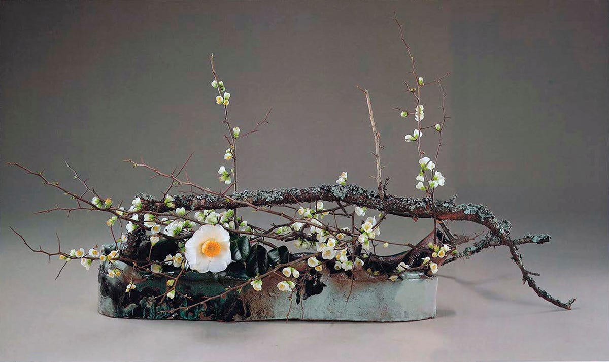 12月のいけばな 「勅使河原宏の花、陶芸、映画」【生け花、いけばな