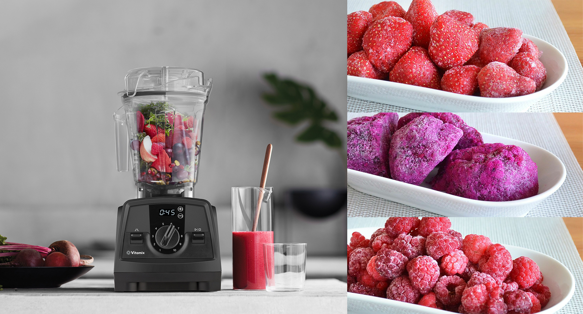 VitamixバイタミックスTNC5200 Vitamix バイタミックス TNC5200 VM0111