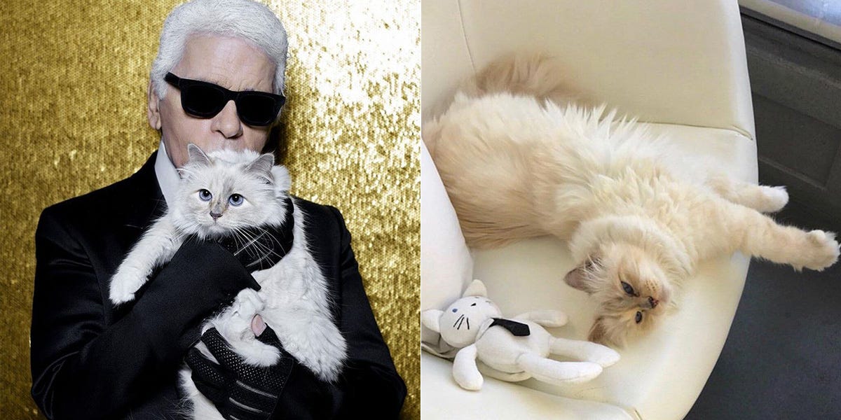 カール・ラガーフェルドの愛猫シュペット、誕生日にファンへメッセージ