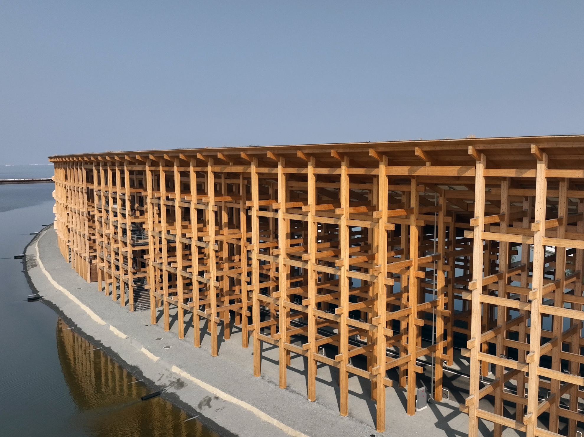 大阪・関西万博】藤本壮介は、なぜ万博のシンボルとして「大屋根リング