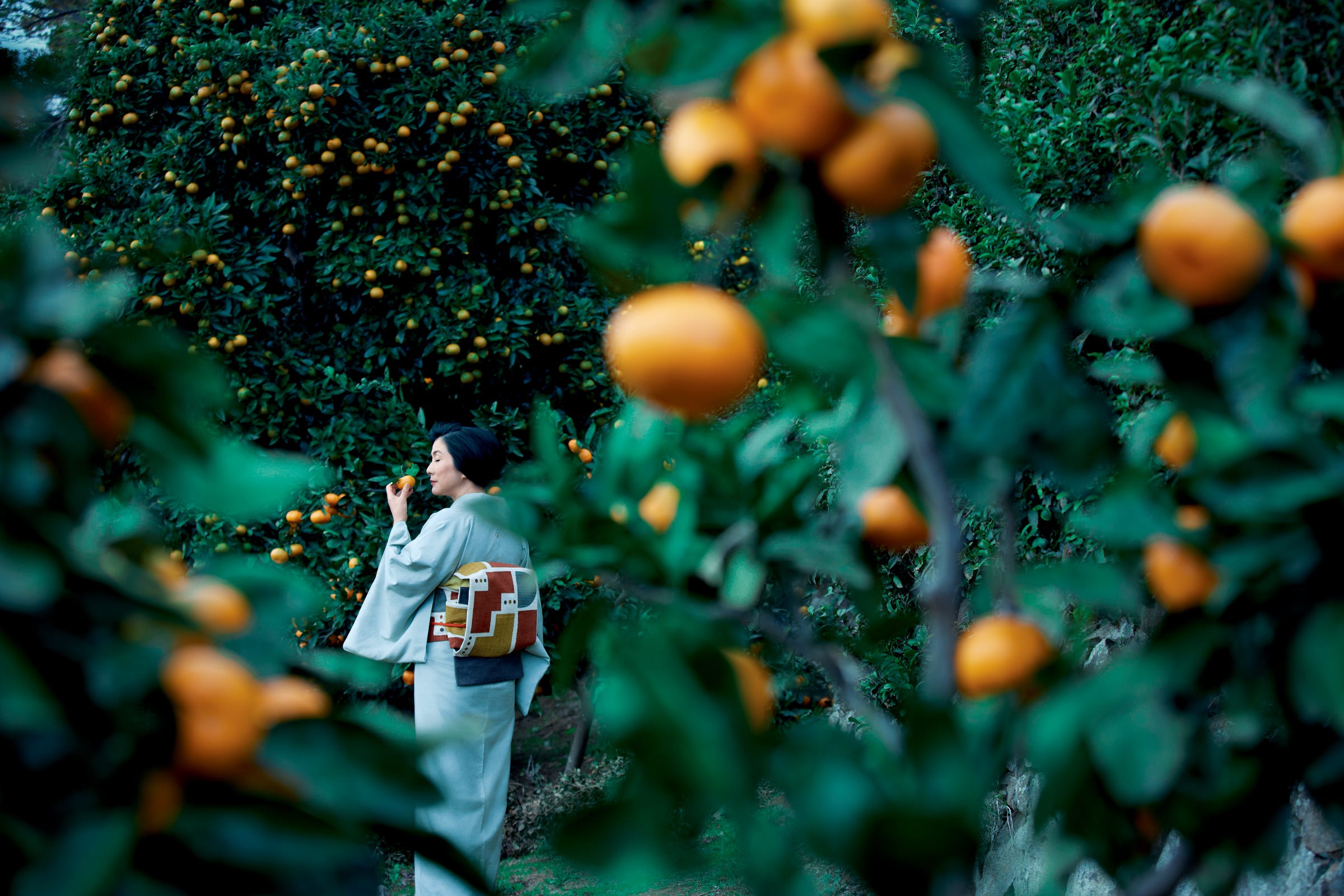 岡本隆志さん・紘子さんの型絵染。自在なる工芸の味わい［真野響子が