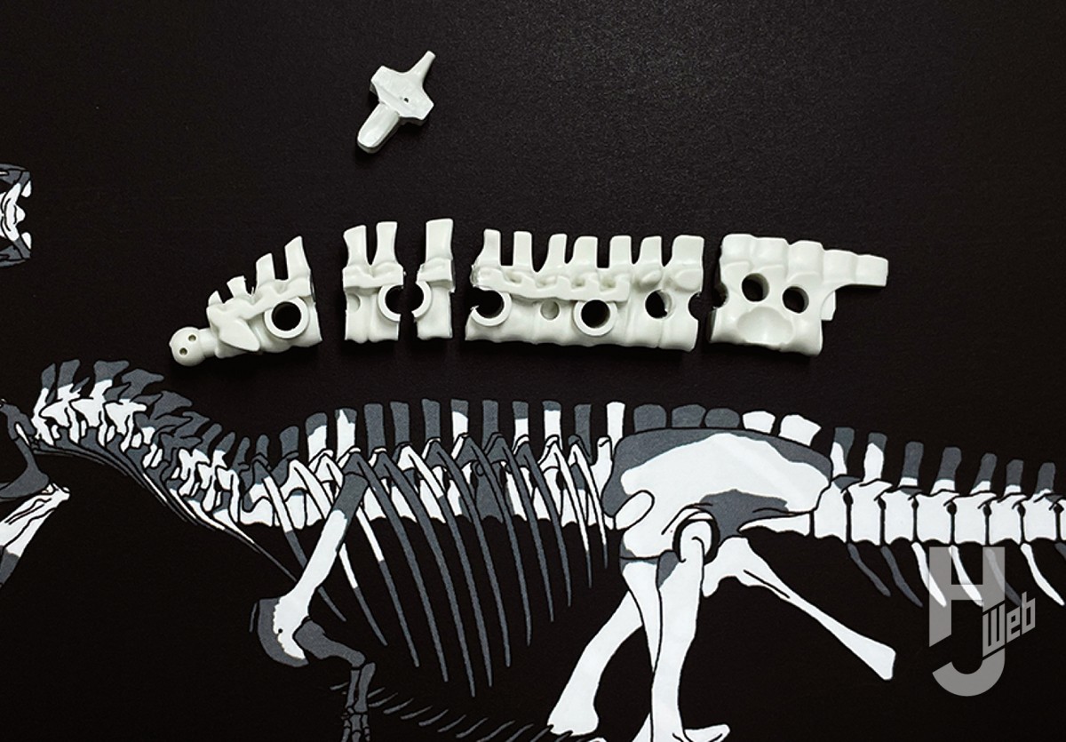 ティラノ超えの超巨大肉食恐竜「ギガノトサウルス」の骨格を復元