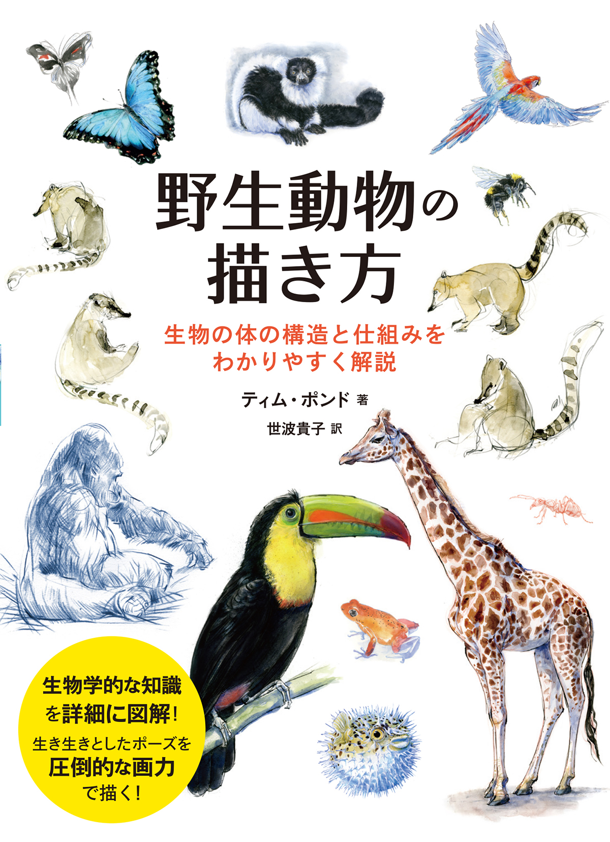 野生動物の描き方 生物の体の構造と仕組みをわかりやすく解説 | ホビー