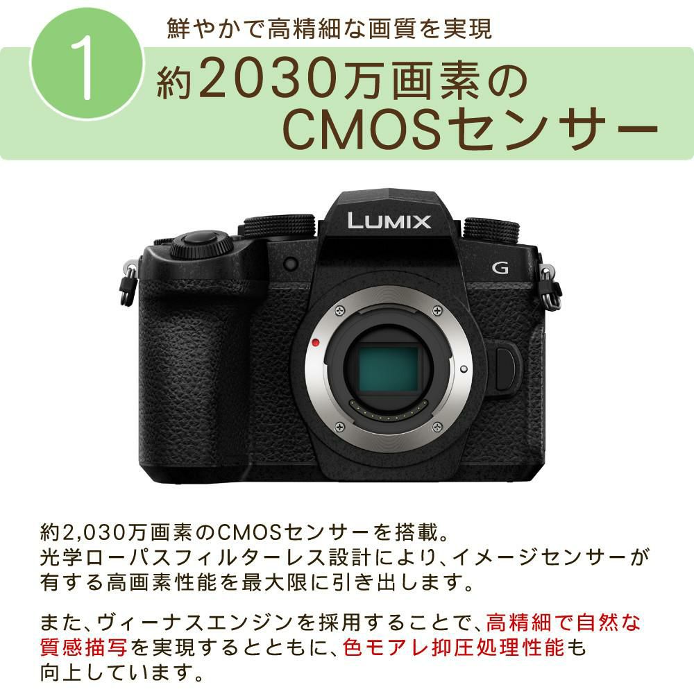 パナソニック ルミックス デジタル一眼カメラ G99M2H 14-140キット