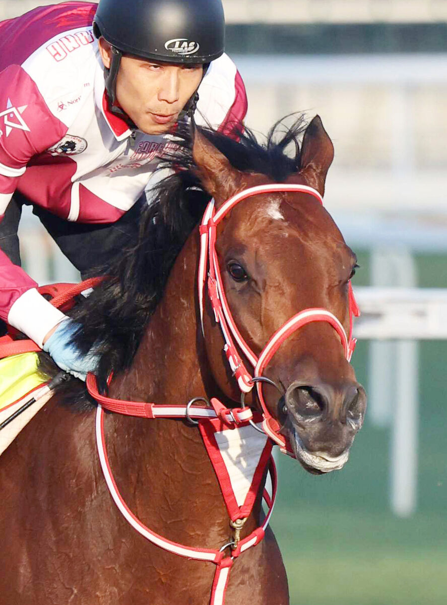 JDクラシック】フォーエバーヤングが帰厩後初のコース追い 陣営「体