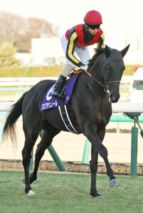 ホープフルS】1番人気のクロワデュノールが無傷3連勝でG1初制覇