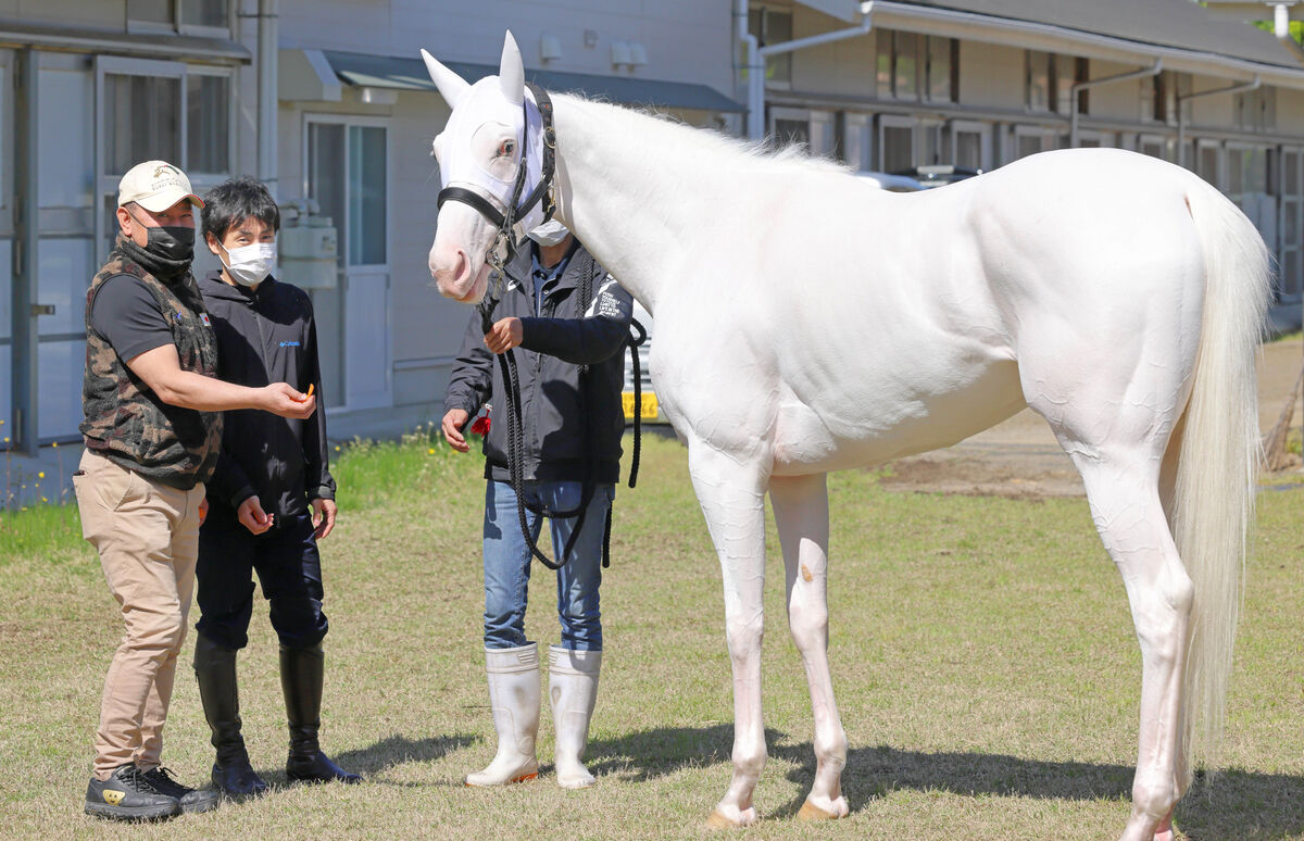 オークス】吉田隼人ソダシと恩返しV 騎手を目指すターニングポイント