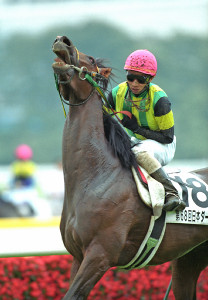 ジャングルポケット死す 2001年にダービー、JC制覇 - UMATOKU