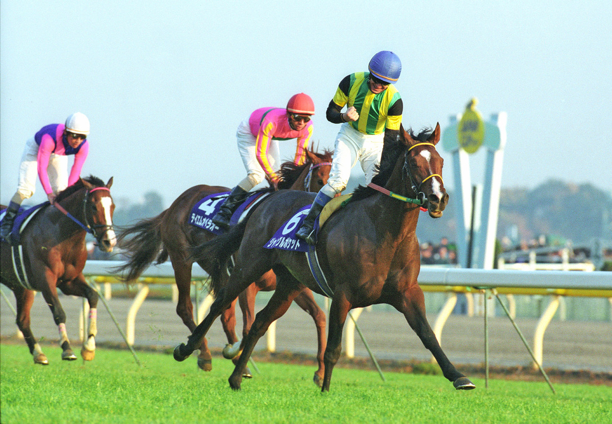 期限切れ単勝馬券】第21回 ジャパンカップ2001 ジャングルポケット