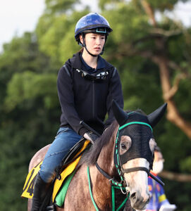 藤田菜七子騎手×サニーデイズ 額装写真パネル 藤田菜七子騎手×サニー