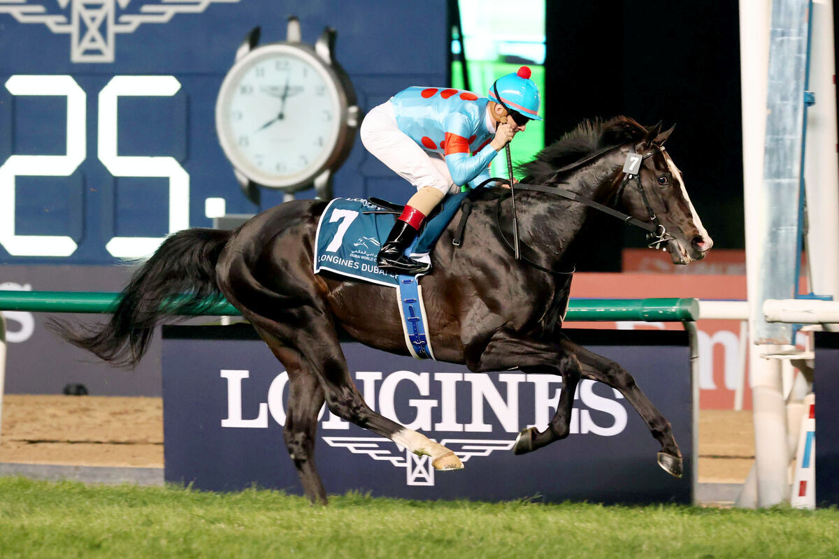 ドバイ・シーマクラシック制覇のイクイノックスが世界NO1ホースに