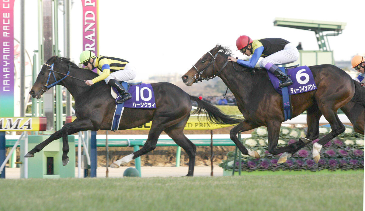 22歳ハーツクライが天国へ旅立つ…9日に起立不能で急死 吉田照哉代表