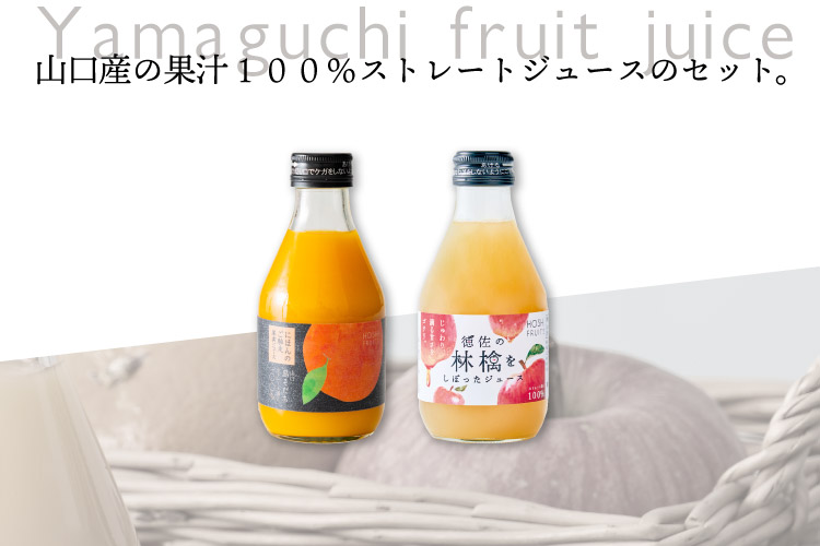 山口島そだち・徳佐林檎 8本《HFY-02C》｜公式ホシフルーツ通販