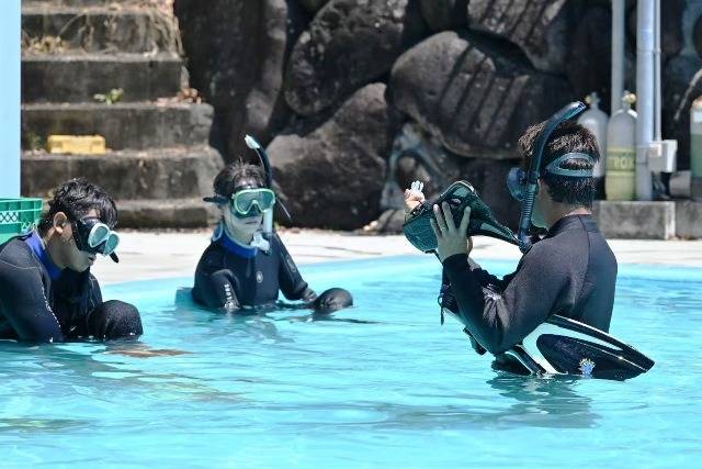 72歳、1333本の記録。年齢を超えて海を楽しむダイバー | 伊豆で