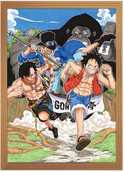 ONE PIECE エース サボ ルフィ
