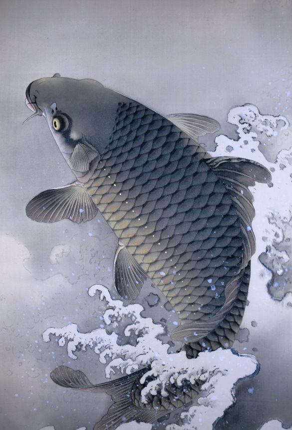 鯉」のアイデア 24 件 | 鯉, 魚 絵, 日本画