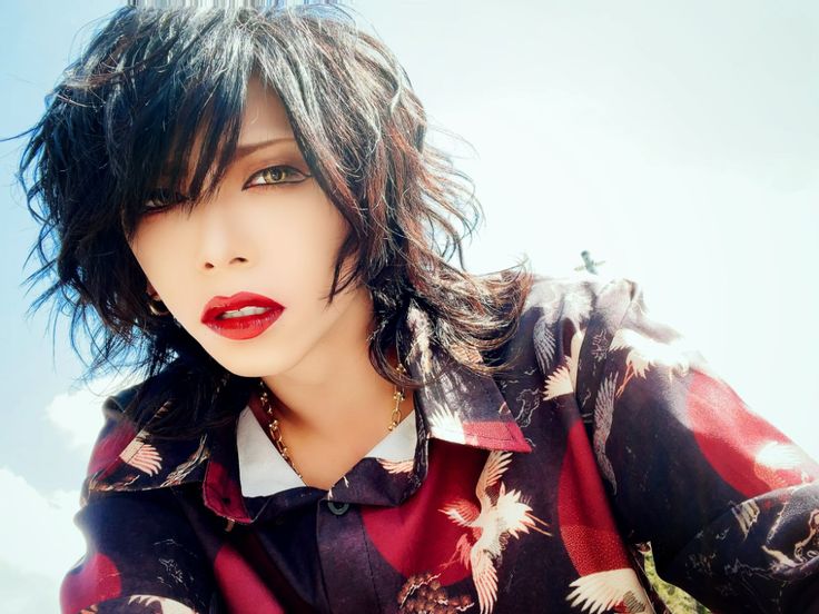 ジグソウ シキさん チェキ 53枚 ジグソウ シキさん チェキ 53枚