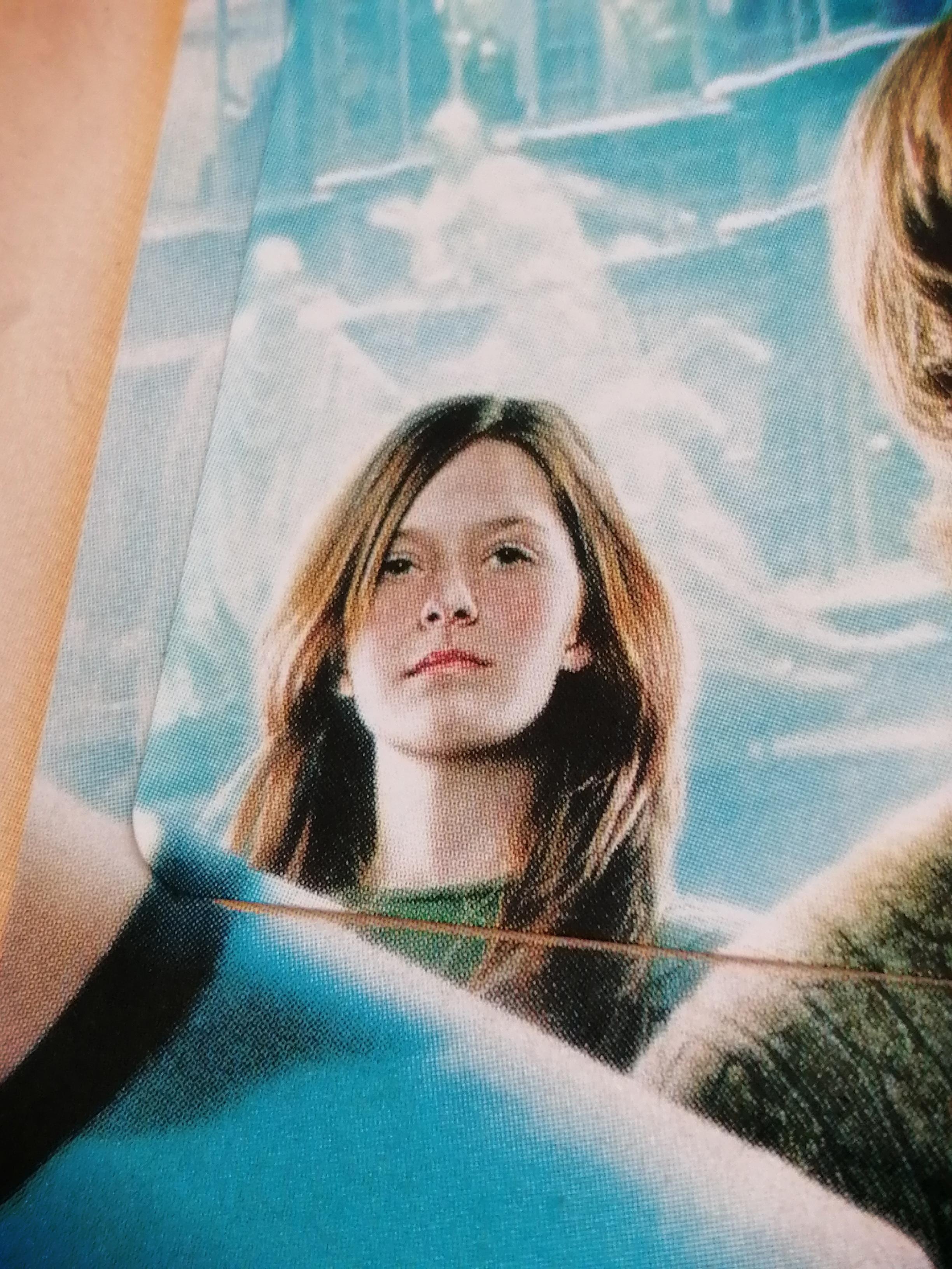 ハリーポッターのステッカーコレクションを始めたんだけど、今「不死鳥