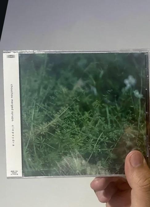 Does anyone have a copy of Clepsydra by chouchou merged syrups for