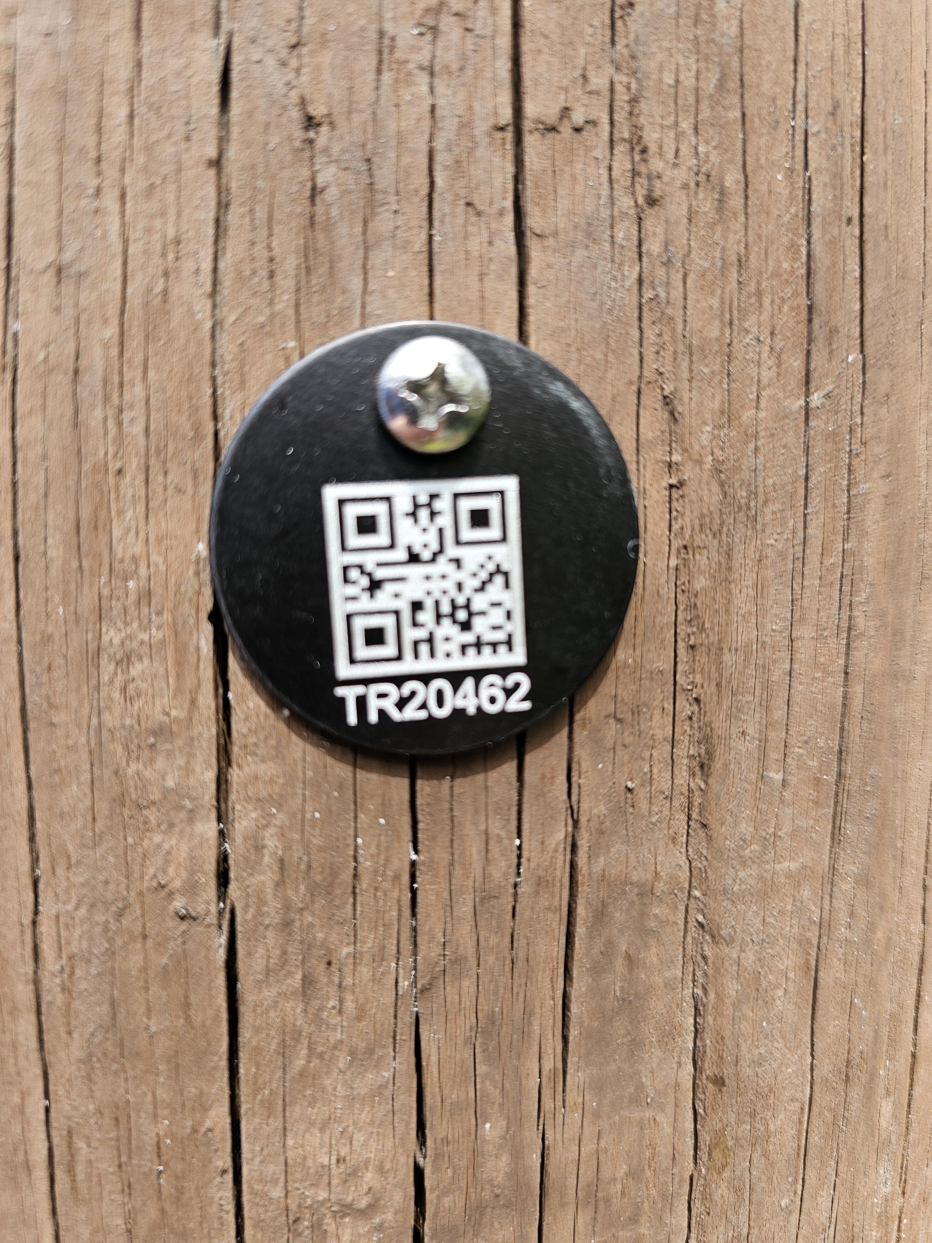 TR20462 : r/WhereInTheDisneyWorld