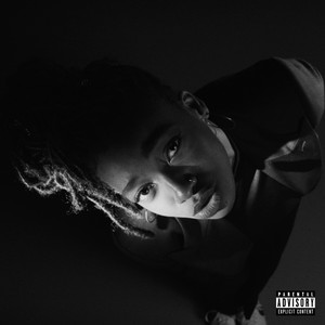 NO THANK YOU - Album by Little Simz | Spotify