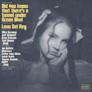 Shades Of Cool - Single by Lana Del Rey | Spotify