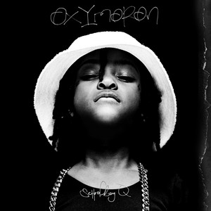 Habits & Contradictions - Album by ScHoolboy Q | Spotify