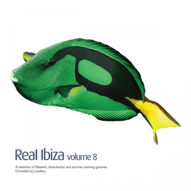 Real Ibiza Volume 8 - Compilation by Various Artists | Spotify