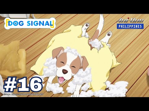 Dog Signal - YouTube