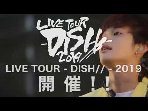 LIVE TOUR - DISH// - 2019 - YouTube