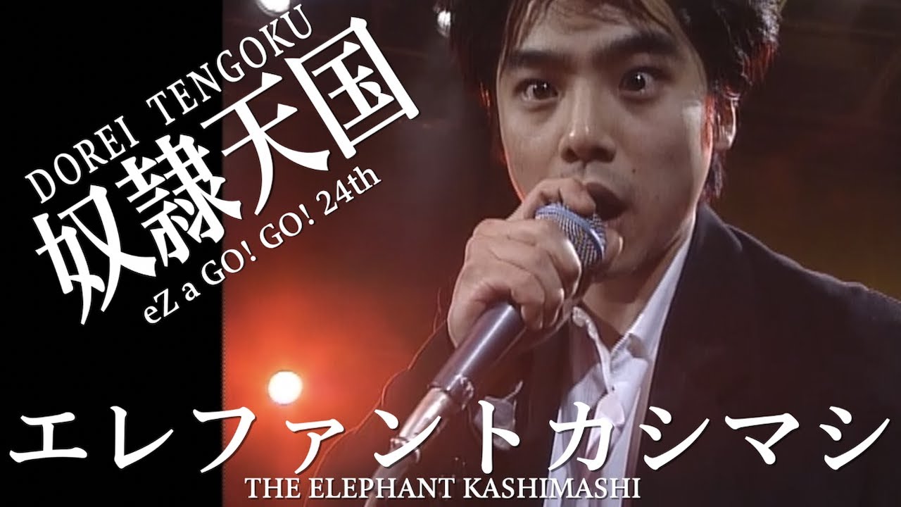 THE ELEPHANT KASHIMASHI 