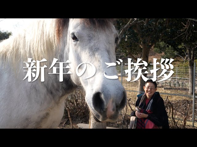 When you think of tamaki niime, you think of shawls! We look