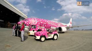 JTA 特別塗装機「ジンベエジェット」2号機 さくらジンベエ就航 那覇